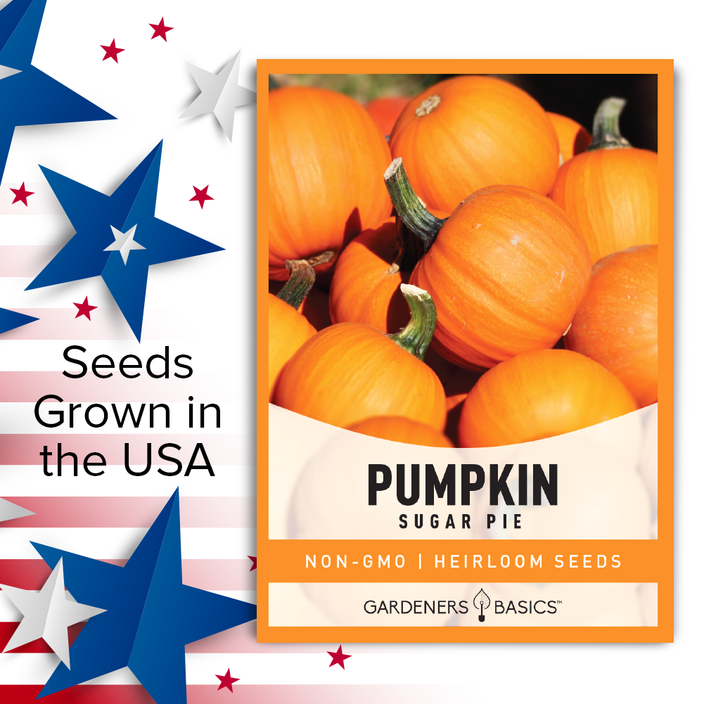 Sugar Pie Pumpkin Seeds For Planting Non-GMO Seeds For Home Vegetable Garden USA