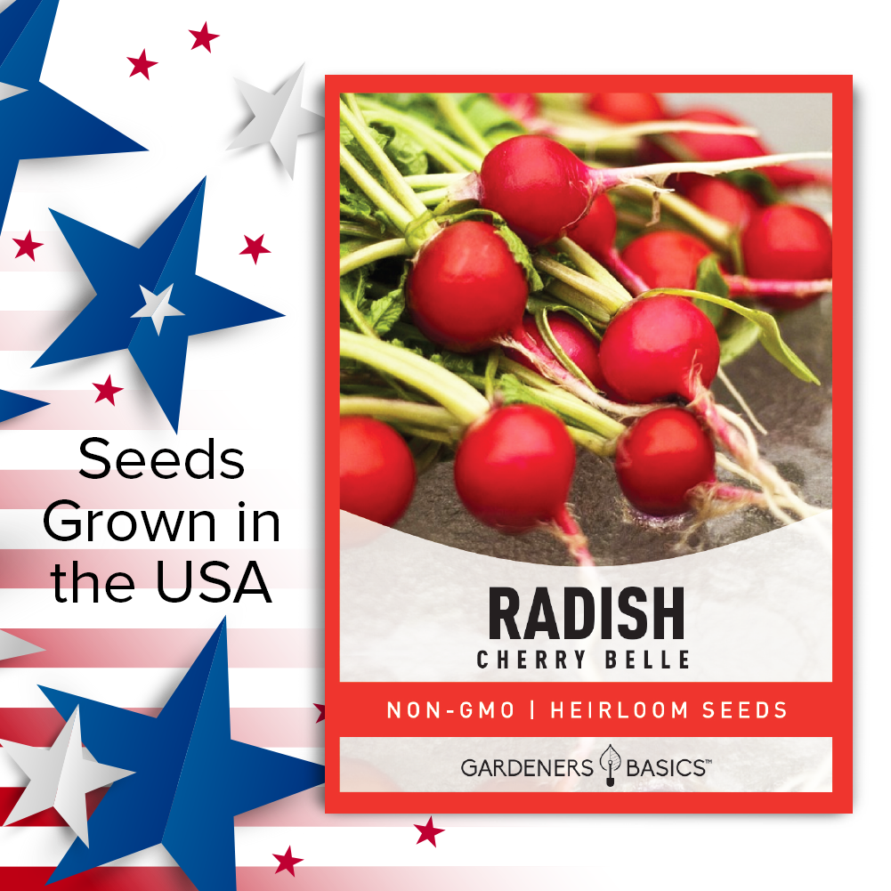 Cherry Belle Radish Seeds For Planting Non-GMO Seeds For Home Vegetable Garden USA