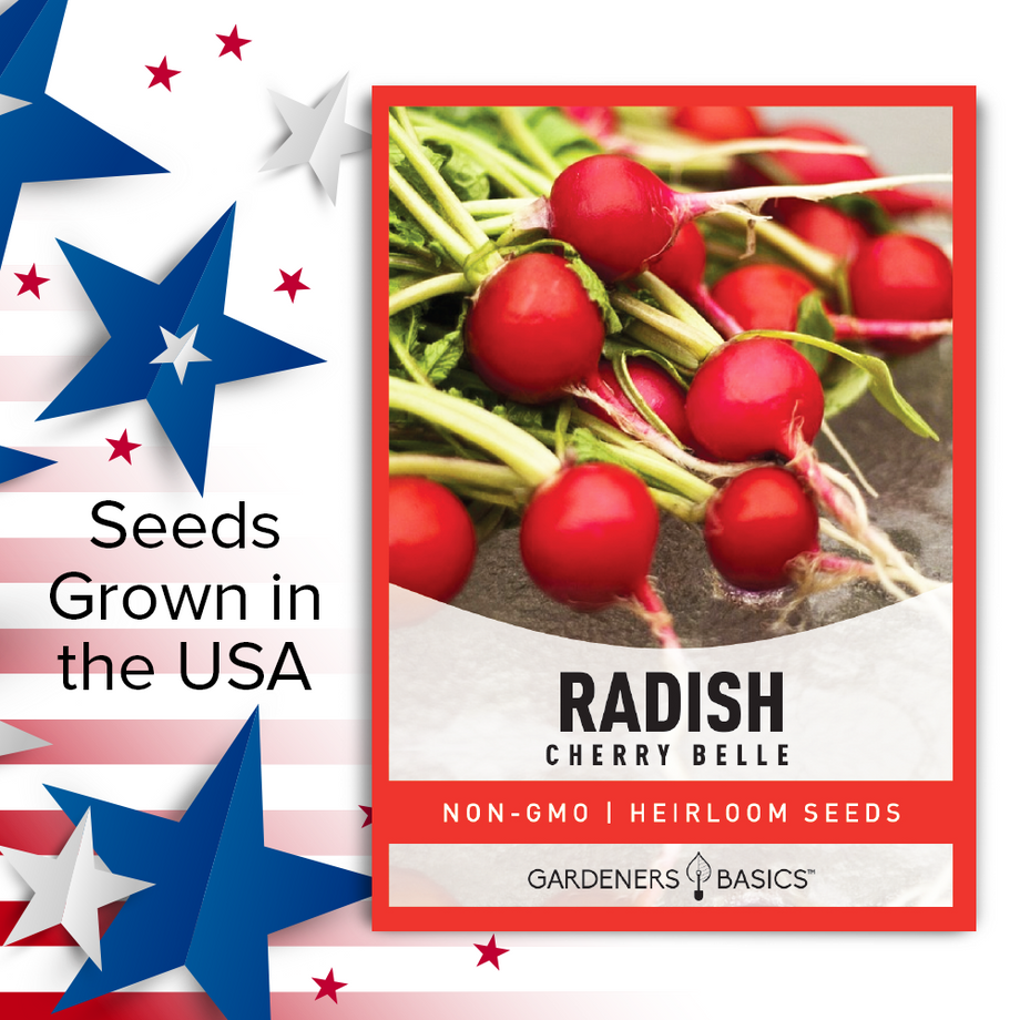 planting cherry belle radish seeds Cherry Belle Radish Seeds: The Secret to Delicious Homegrown Salads –  Gardeners Basics
