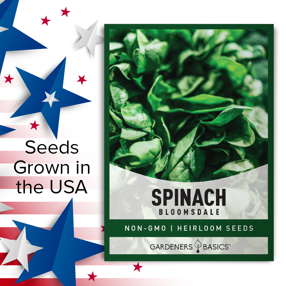 Bloomsdale Spinach Seeds Non-GMO Heirloom Seeds For Home Garden Vegetables USA