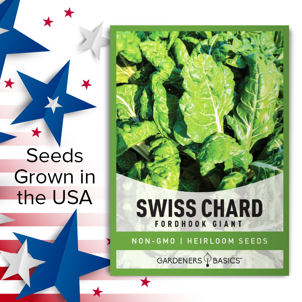 Fordhook Giant Swiss Chard Seeds For Planting Non-GMO Seeds For Home Vegetable Garden USA