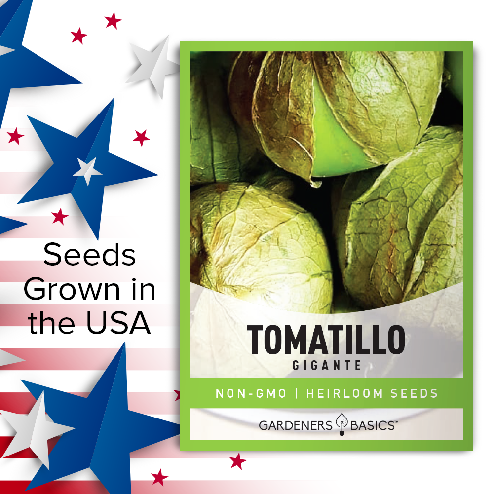 Gigante Tomatillo Tomato Seeds For Planting Non-GMO Tomato Seeds For Home Vegetable Garden USA
