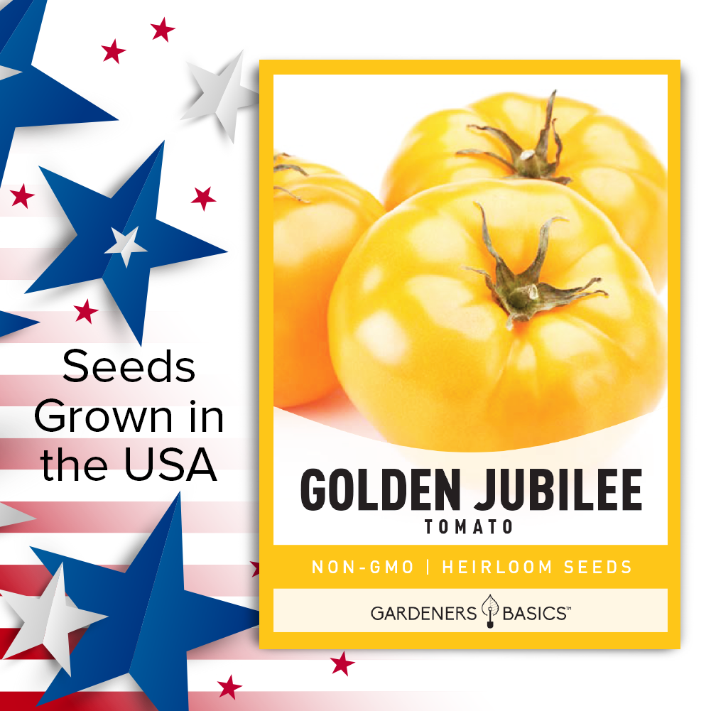 Golden Jubilee Tomato Seeds For Planting Non-GMO Seeds For Home Vegetable Garden USA