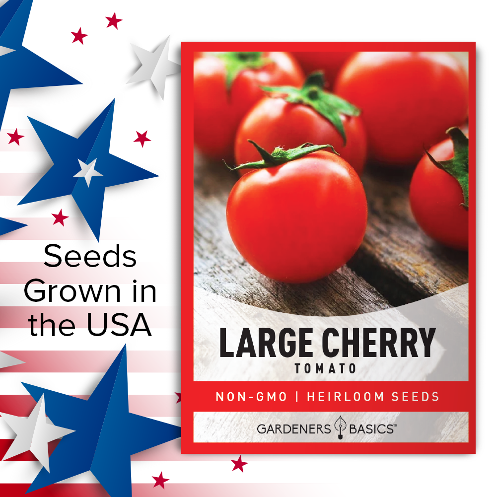 Large Cherry Tomato Seeds For Planting Non-GMO Seeds For Home Vegetable Garden USA