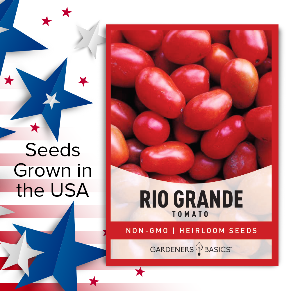 Rio Grande Tomato Seeds For Planting Heirloom Non-GMO Seeds