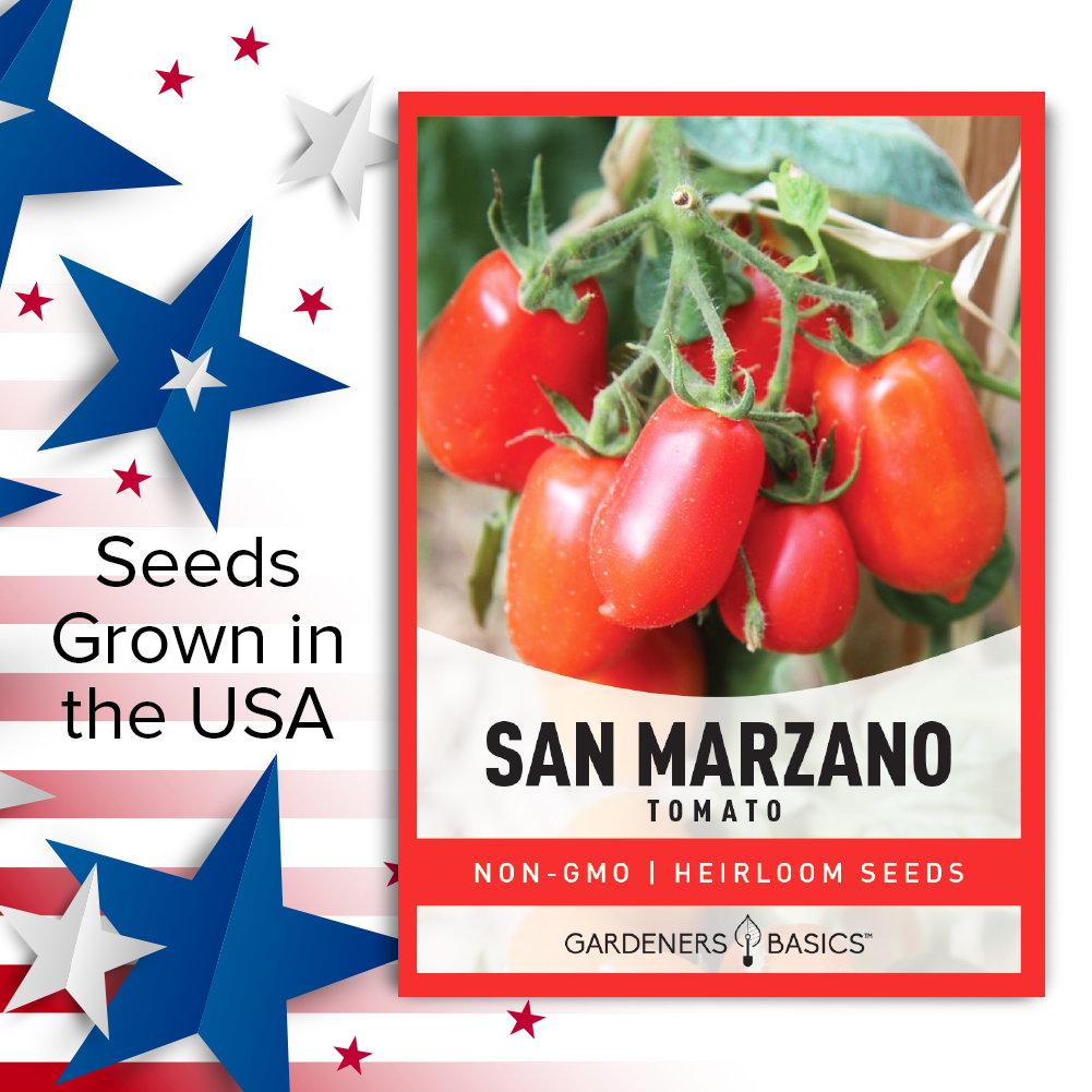 San Marzano Tomato Seeds For Planting Non-GMO Seeds For Home Vegetable Garden USA