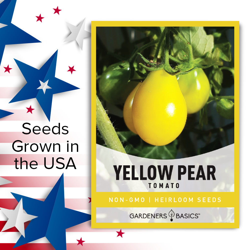 Yellow Pear Tomato Seeds For Planting Non-GMO Seeds For Home Vegetable Garden USA