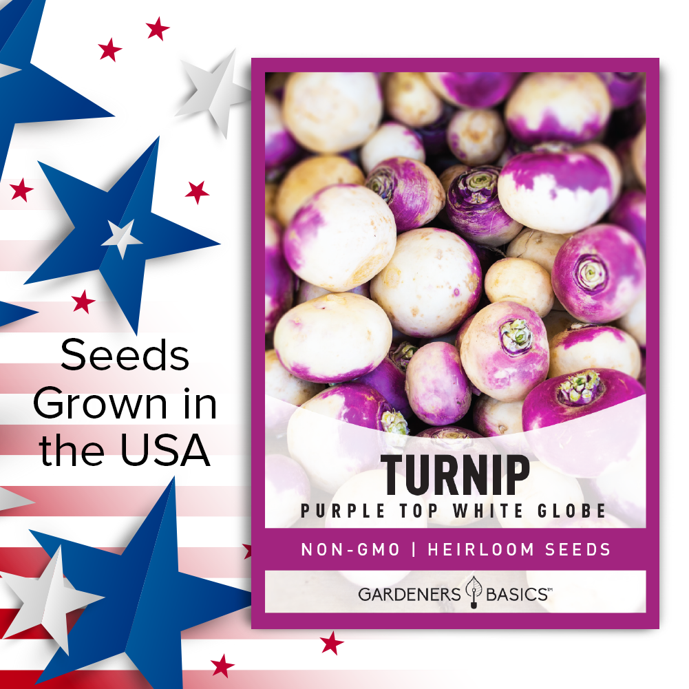 Purple Top White Globe Turnip Seeds For Planting Non-GMO Seeds For Home Vegetable Garden USA