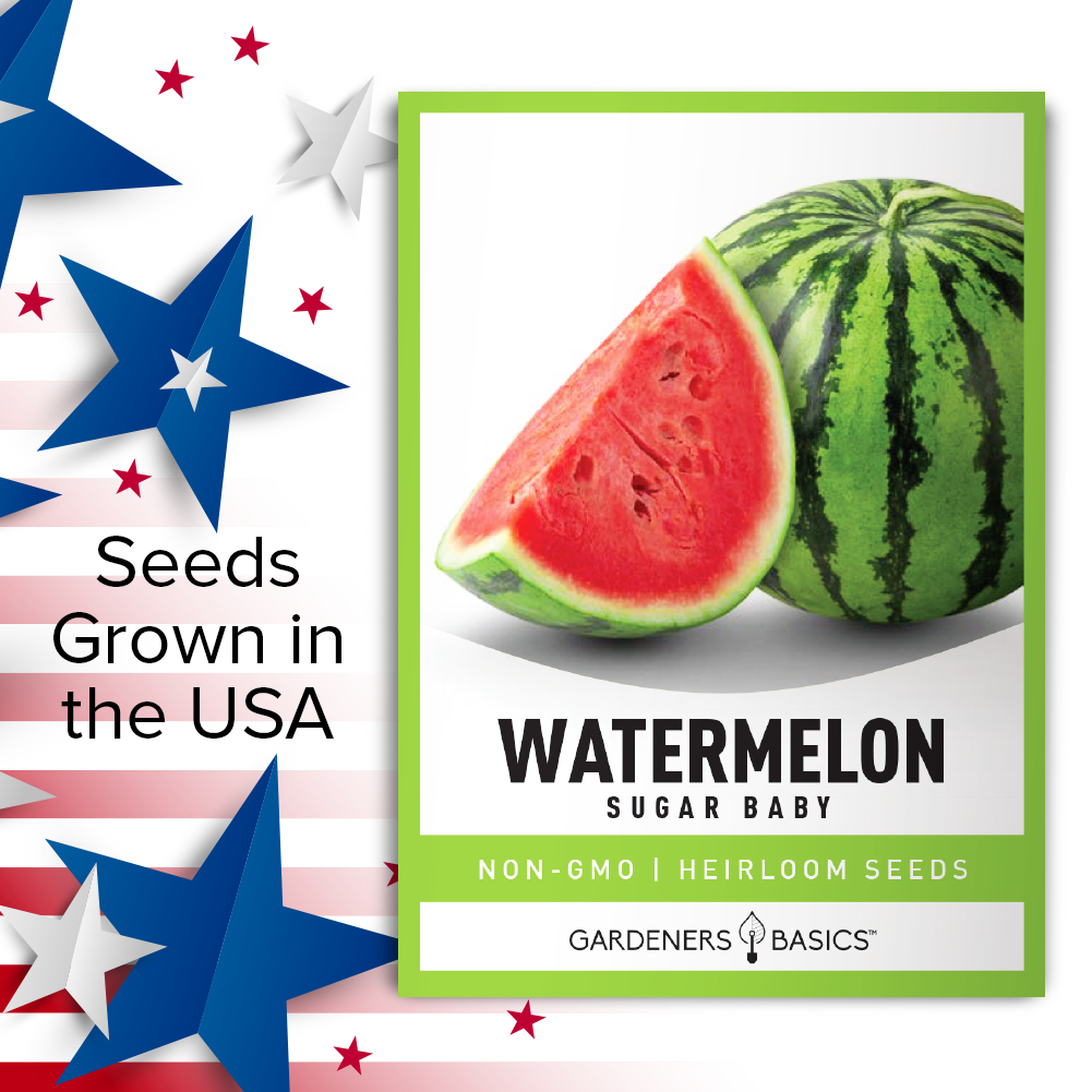 Sugar Baby Watermelon Seeds For Planting Non-GMO Seeds For Home Fruit Garden USA