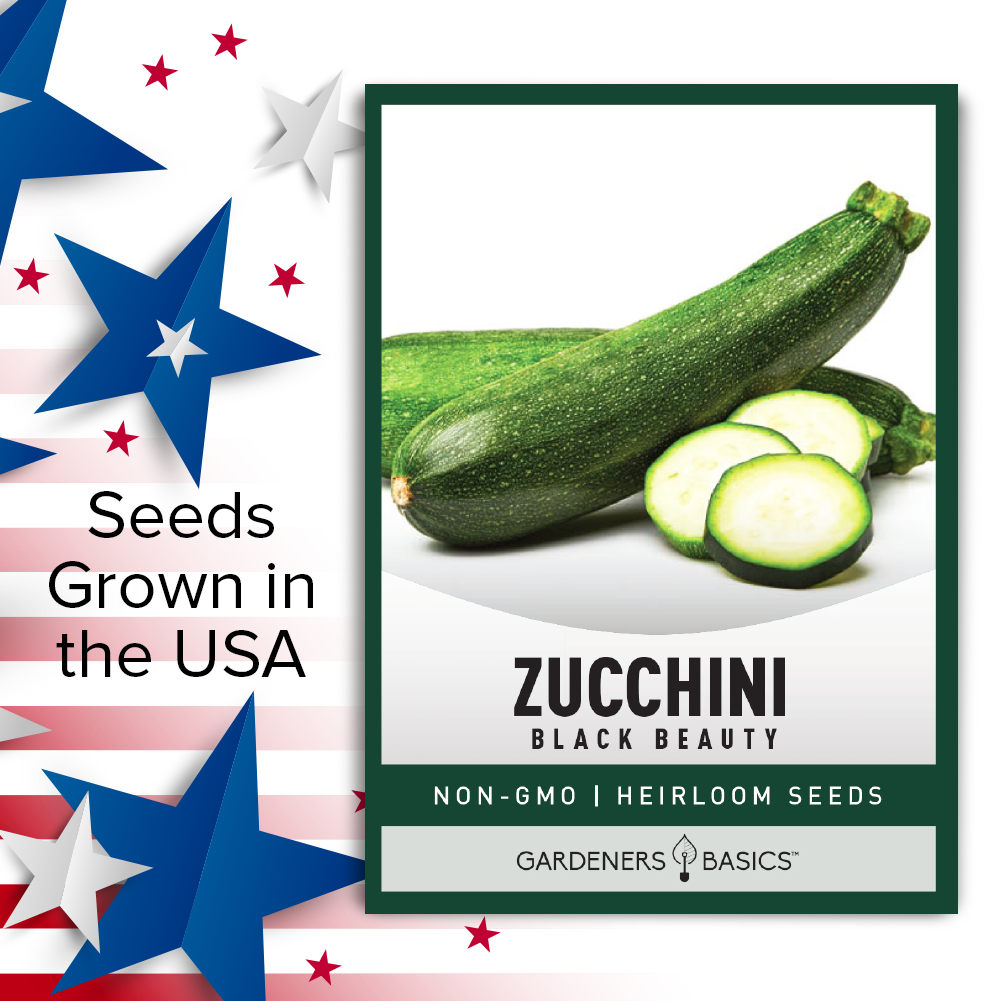 Black Beauty Zucchini Seeds For Planting Home Vegetable Garden Seeds USA