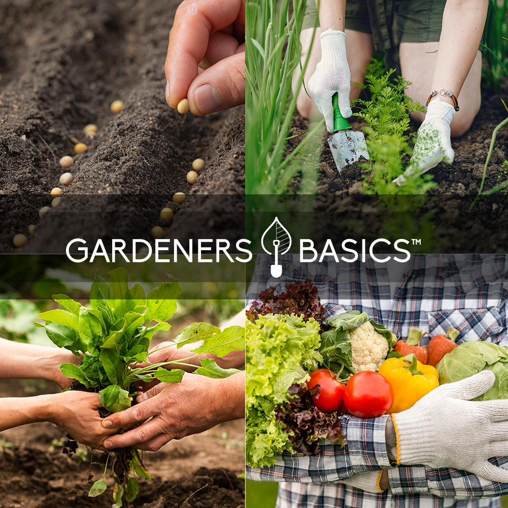 Survival Garden Seeds Home Garden Collection Vegetable Seed Vault - Non-GMO Heir