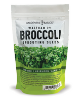 Gardeners Basics 1 lb Waltham 29 broccoli seeds for sprouting and microgreens