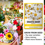 Shop Non-GMO Alaska Shasta Daisy Seeds – Open Pollinated