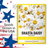 Non-Hybrid Alaska Shasta Daisy Seeds for Flower Gardens