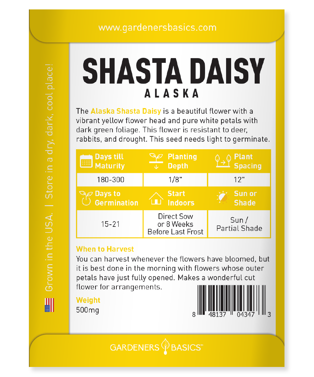 Best Tips for Planting Alaska Shasta Daisy Seeds