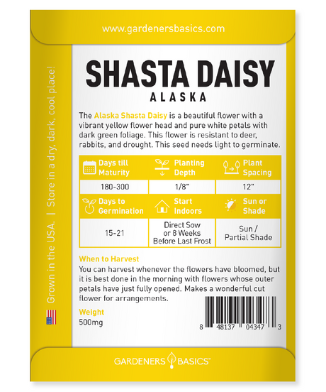 Best Tips for Planting Alaska Shasta Daisy Seeds