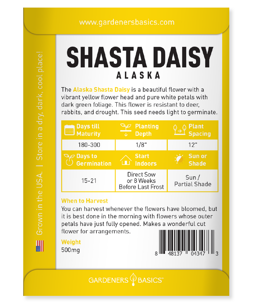 Best Tips for Planting Alaska Shasta Daisy Seeds