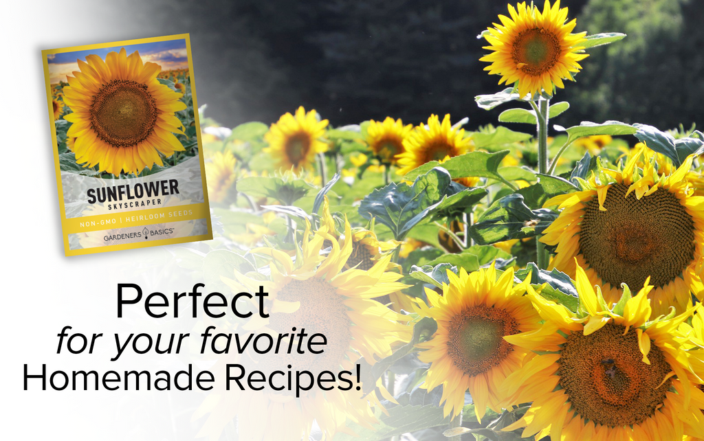 Skyscraper Sunflower Seeds: Grow the Tallest Sunflowers in Your Neighborhood