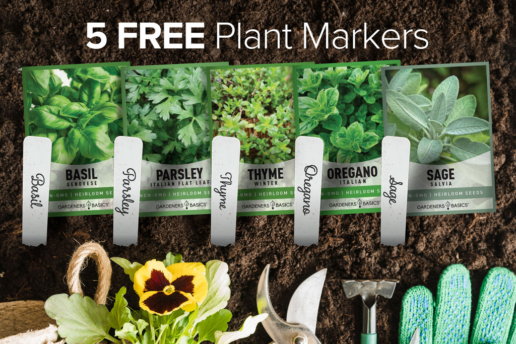 Italian Herb Starter Kit: 5 Varieties for Your Home Garden