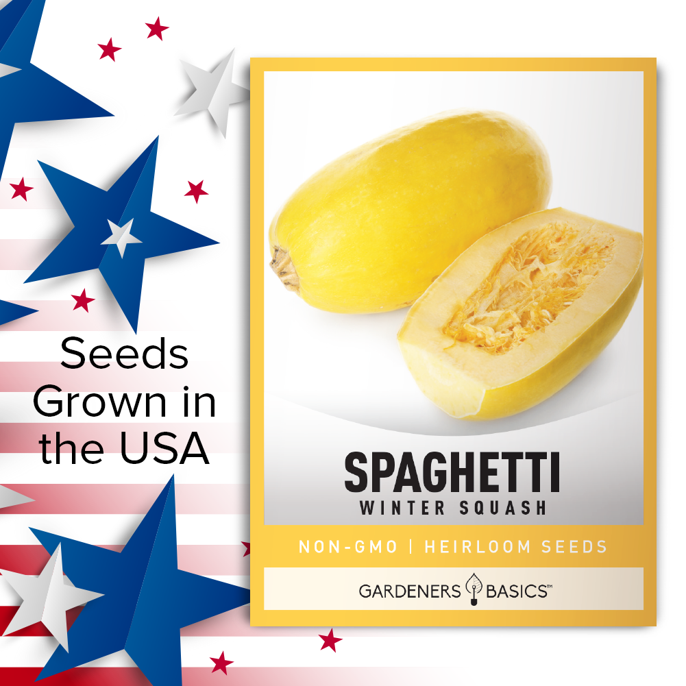 Plant the Seed of Health: Spaghetti Squash Seeds for Your Garden