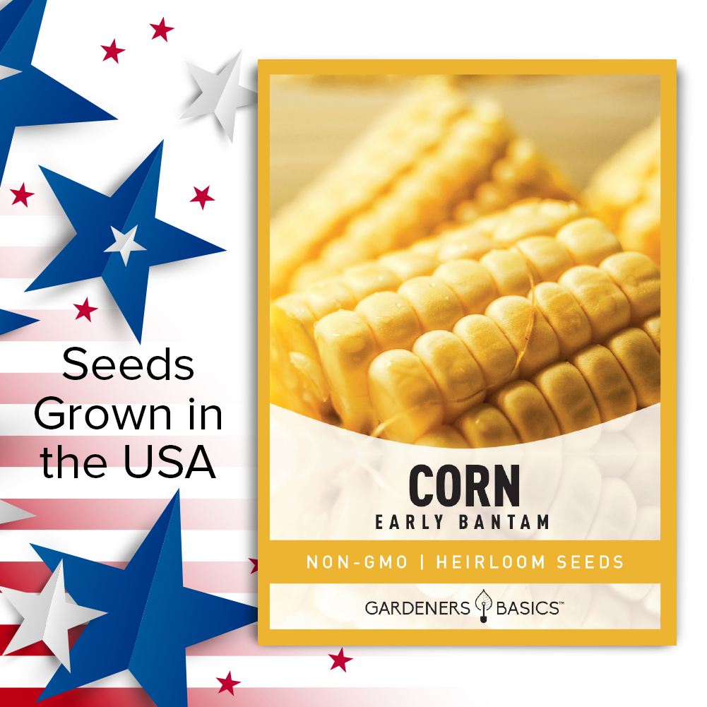 Short Growing Season? Try Early Golden Bantam Corn Seeds!