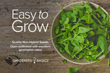 Bloomsdale Spinach Seeds Non-GMO Heirloom Seeds For Home Garden Vegetables Easy To Grow