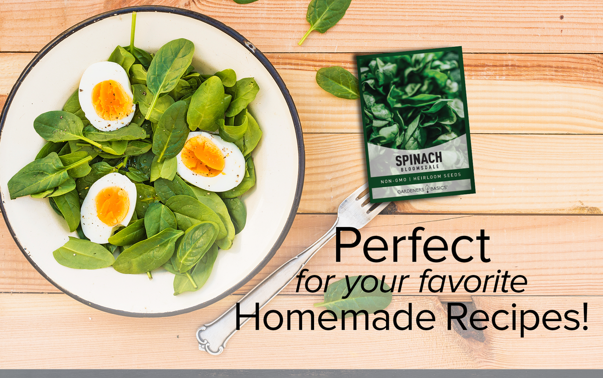 Bloomsdale Spinach Seeds Non-GMO Heirloom Seeds For Home Garden Vegetables Homemade Recipes