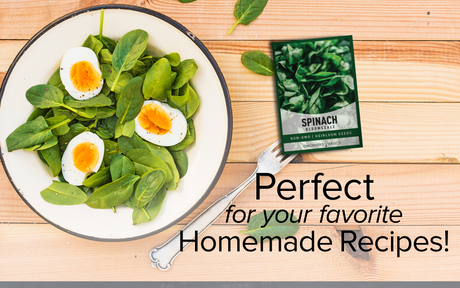 Bloomsdale Spinach Seeds Non-GMO Heirloom Seeds For Home Garden Vegetables Homemade Recipes