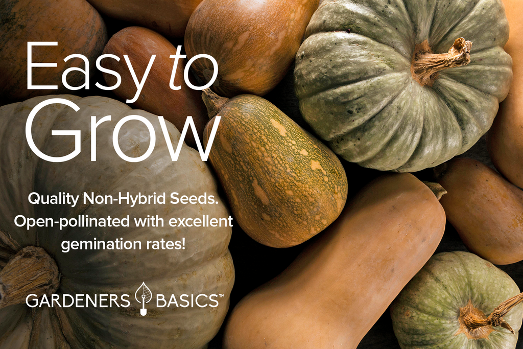Plant Your Way to a Vibrant Harvest: 8 Squash Seed Pack