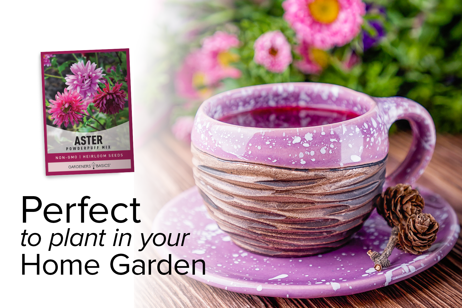 planting china aster seeds Powder Puff China Aster Seed For Sale Buy Online From Gardeners Basics