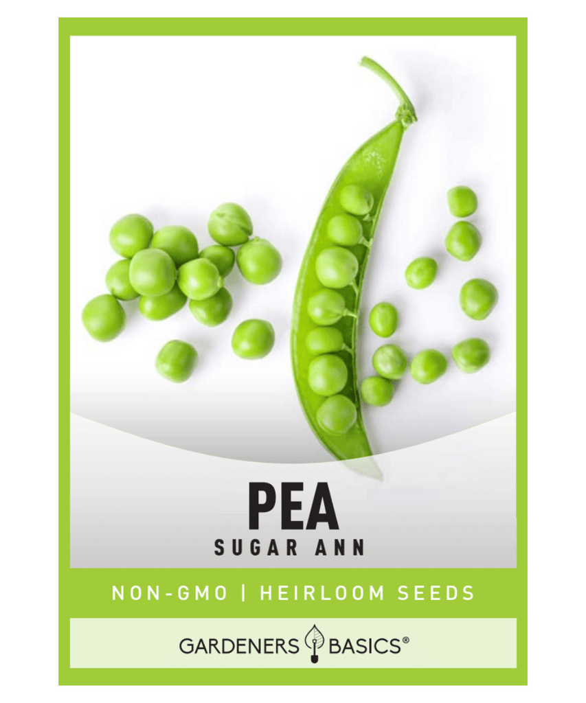 Sugar Ann Pea Seeds Sugar Ann Snap Peas Pea Seeds for Planting Snap Pea Seeds Compact Pea Plants High-Yielding Peas Home Garden Peas Container Gardening Peas Early Maturing Peas Nutrient-Dense Peas