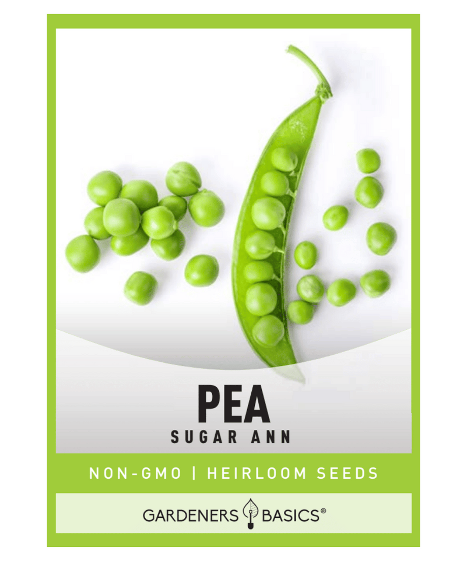 garden peas seeds Sugar Ann Snap Pea Seeds