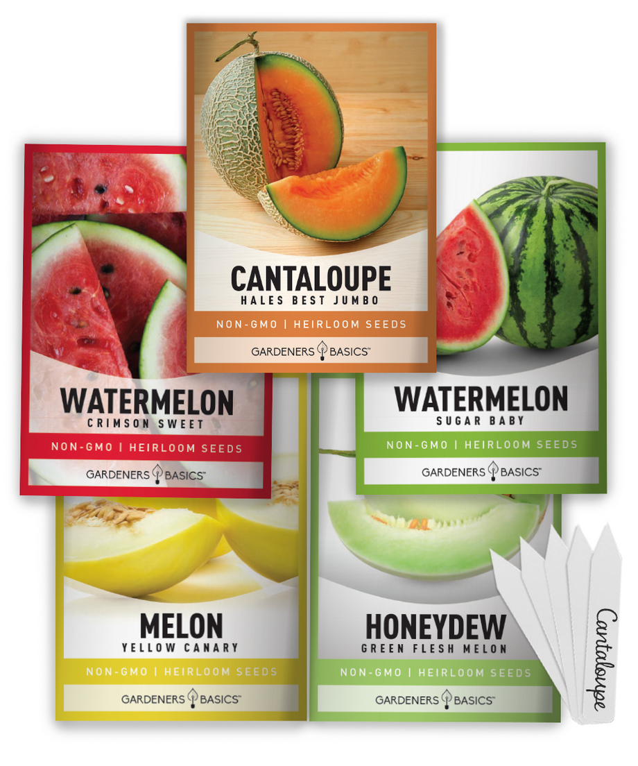 melon seeds planting Grow Fresh Summer Melons with Our 5-Pack Melon Seeds Assortment – Gardeners Basics