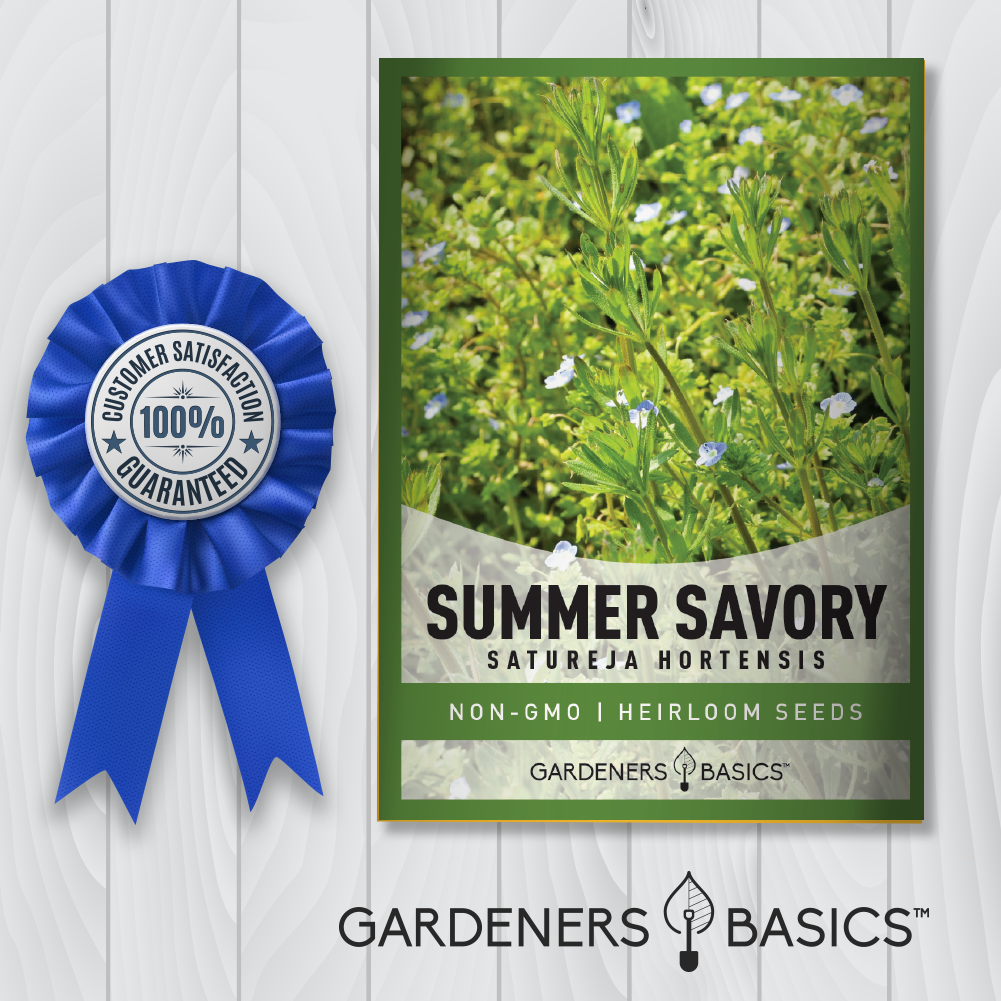 Grow Your Own Health-Boosting Herb: Premium Summer Savory Seeds
