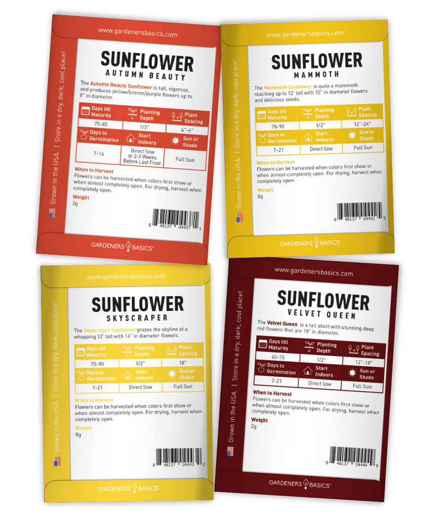 Add a Pop of Color to Your Garden with Sunflower Seeds