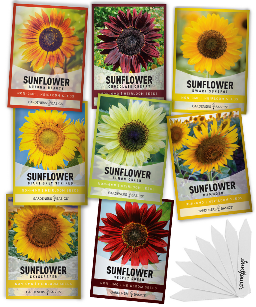 Sunflower seeds Planting Gardening Garden decor Outdoor space Vibrant colors Variety pack Multi-colored Garden display Gardners Basics Blooms Seed collection Unique garden Pop of color Beautiful addition