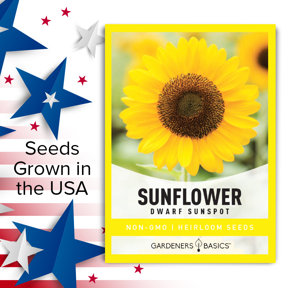 Sunspot Sunflower Seeds: Add a Burst of Yellow to Your Garden