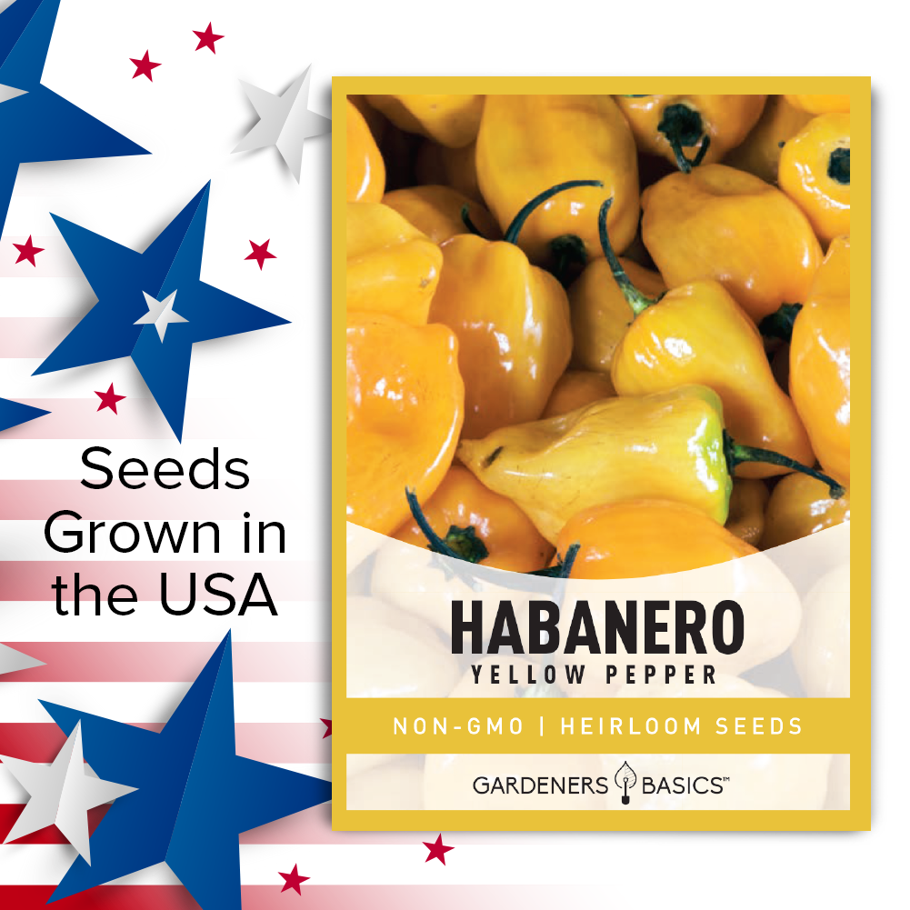The Top 5 Reasons to Grow Yellow Habanero Peppers