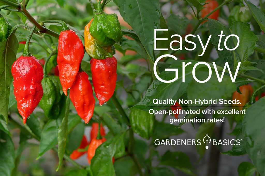 Grow Your Own Ghost Peppers: Bhut Jolokia Seeds for a Fiery Harvest