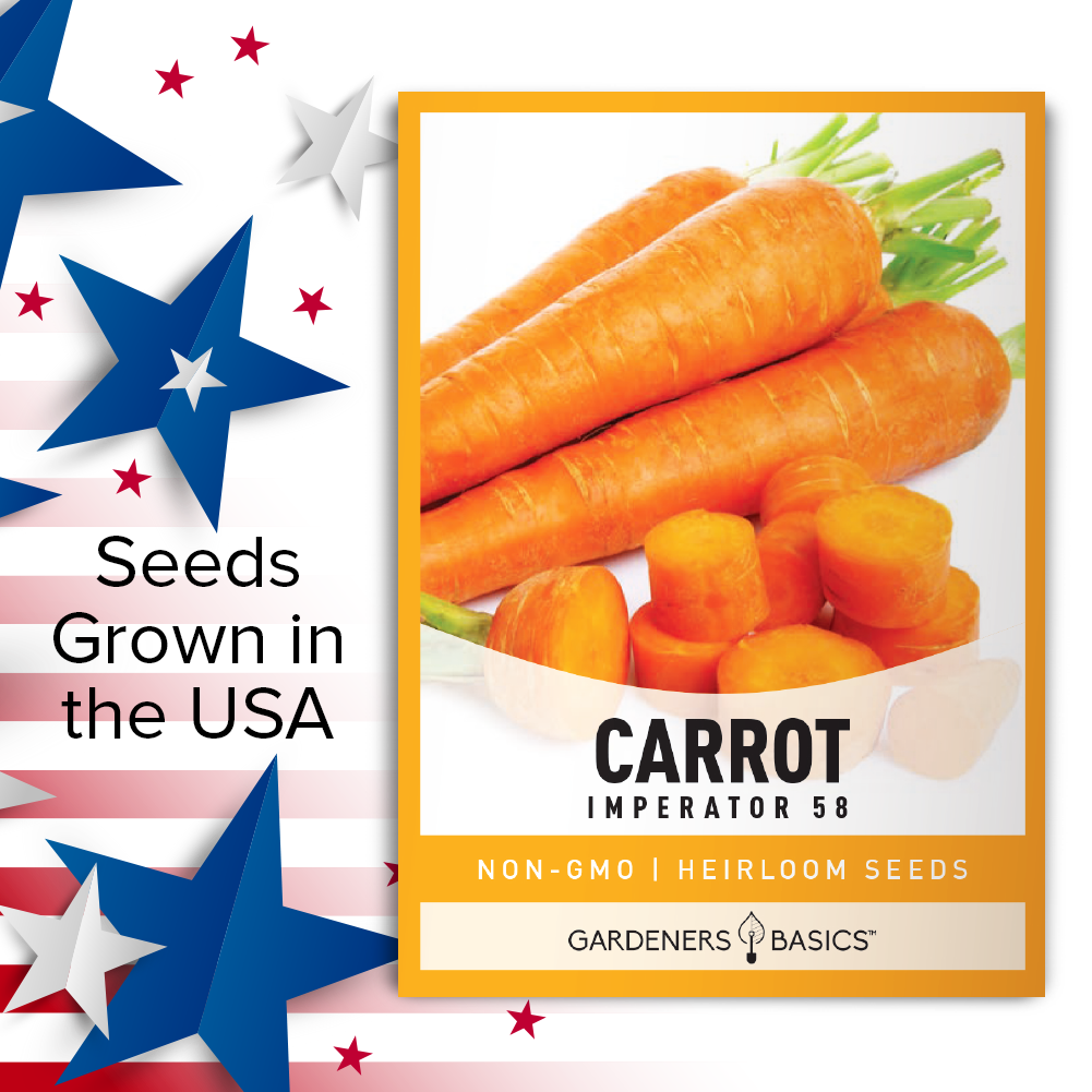 Imperator 58 Carrot Seeds: The Perfect Addition to Your Vegetable Garden