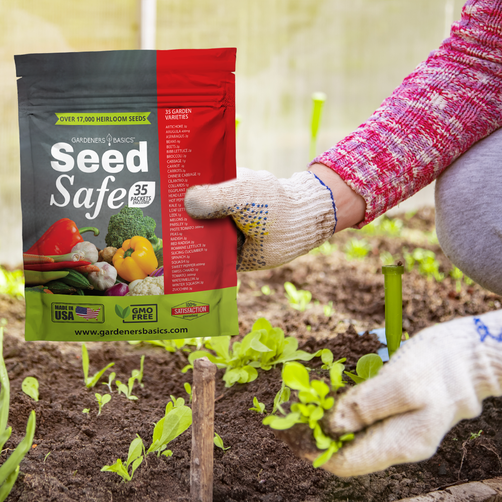 Essential Seed Safe Survival Seed Kit - 35 Varieties for Preparedness