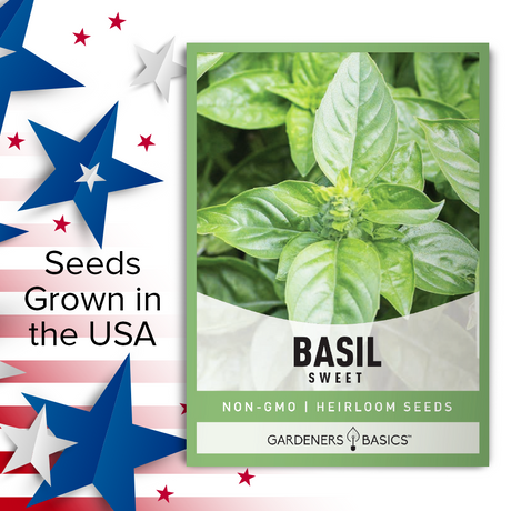 Cooking with Sweet Basil Seeds: Tips and Tricks for the Perfect Dish