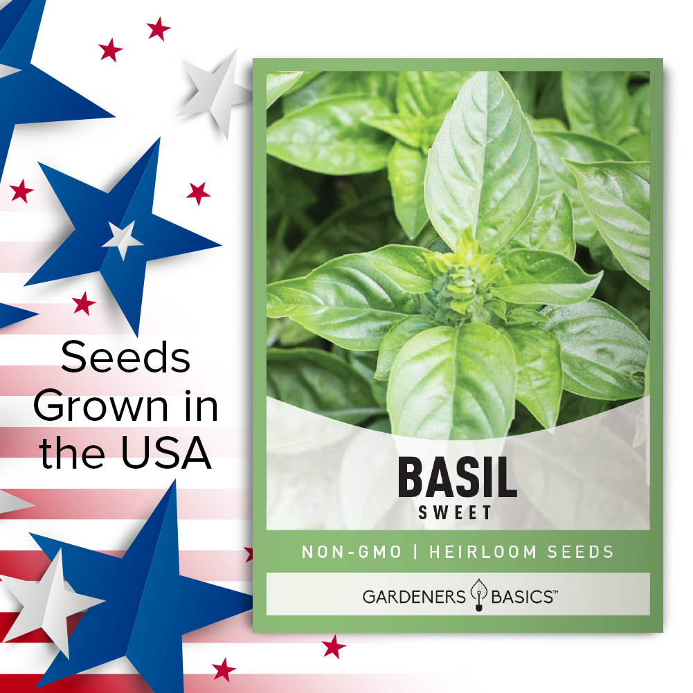 Cooking with Sweet Basil Seeds: Tips and Tricks for the Perfect Dish