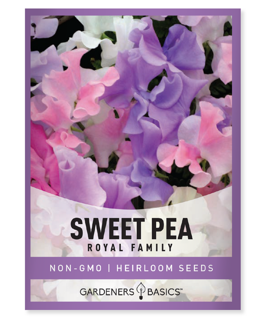 Sweet Pea Royal Family Mix Seeds Climbing Vine with Long-lasting Bloom –  Gardeners Basics