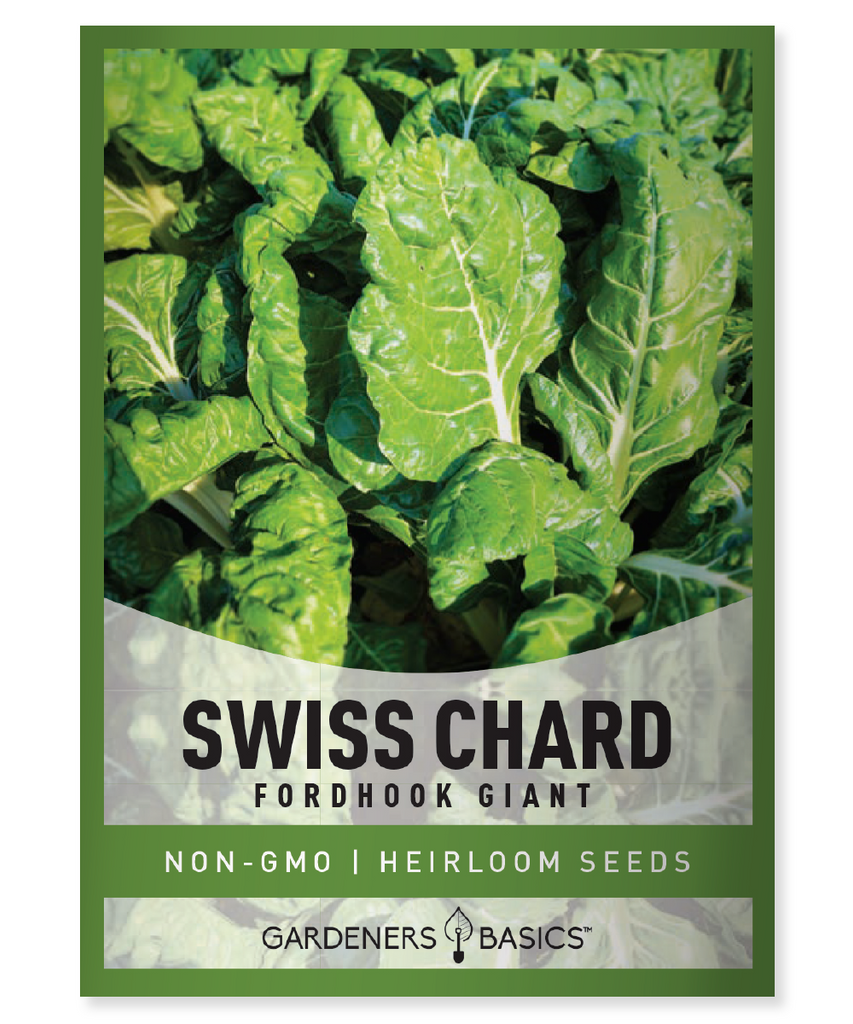 Fordhook Giant Swiss Chard Seeds For Planting Non-GMO Seeds For Home Vegetable Garden