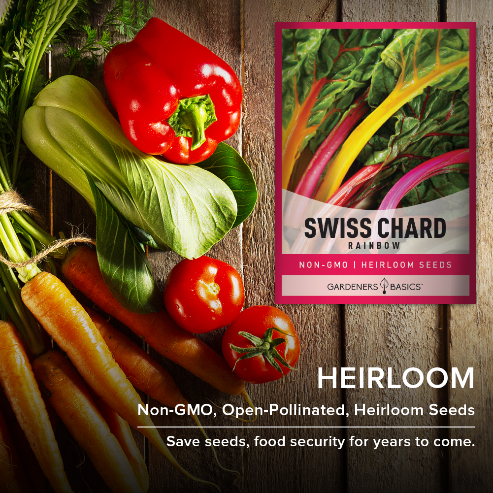 High-Quality Rainbow Swiss Chard Seeds: Color and Nutrition Combined