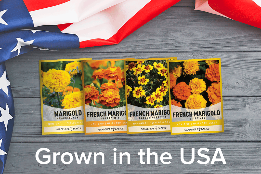 Plant a Natural Pest Deterrent with Our Marigold Seeds
