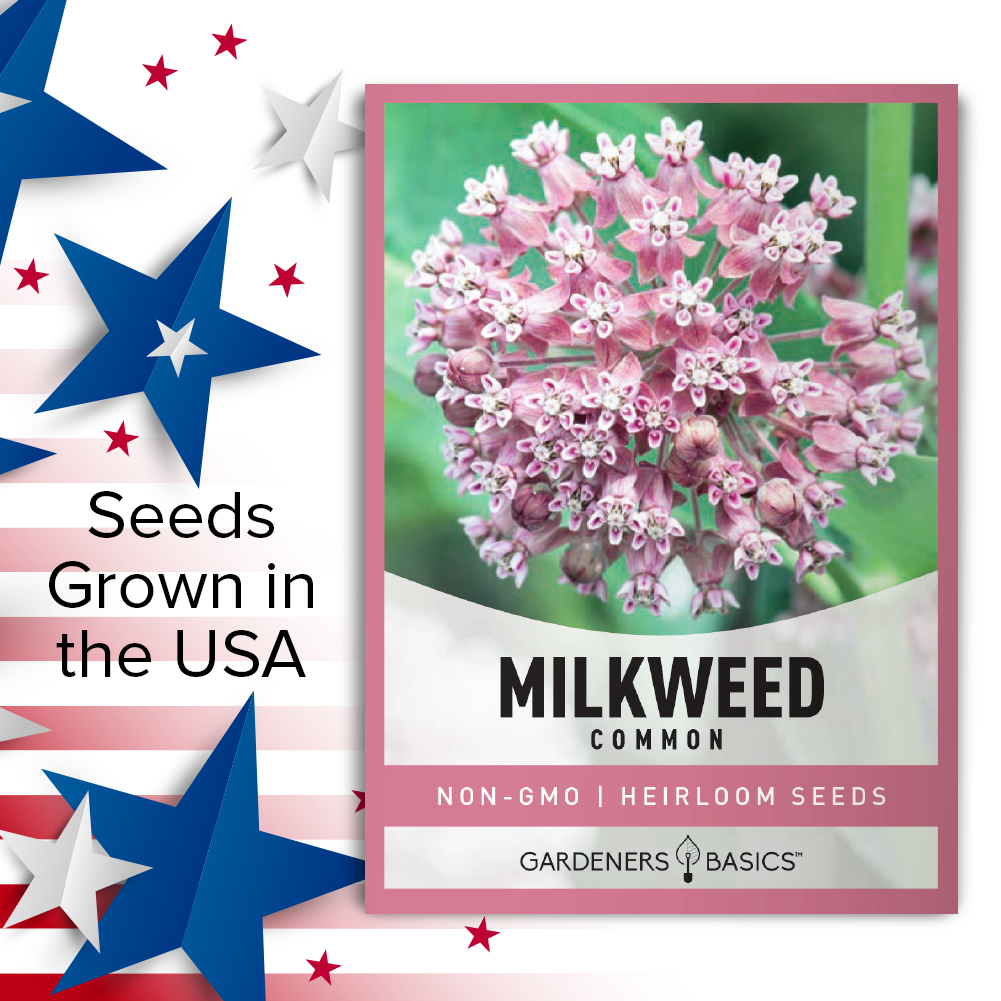 Conserving Wildlife with Common Milkweed: A Must-Have for Your Garden