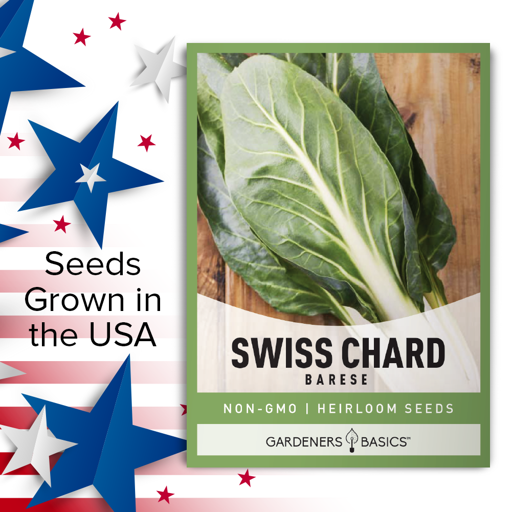 Cold-Tolerant Barese Swiss Chard Seeds for Your Home Garden