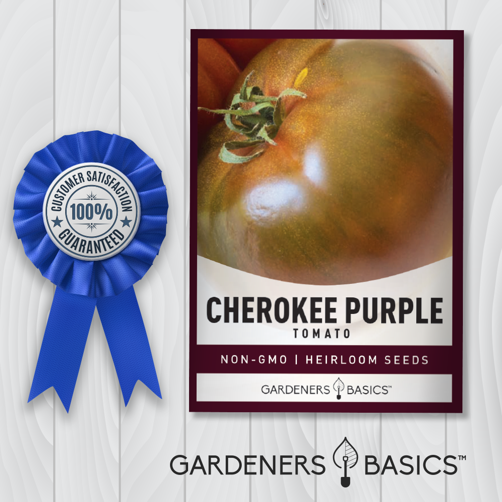 The Ultimate Heirloom Tomato: Cherokee Purple Tomato Seeds for Planting
